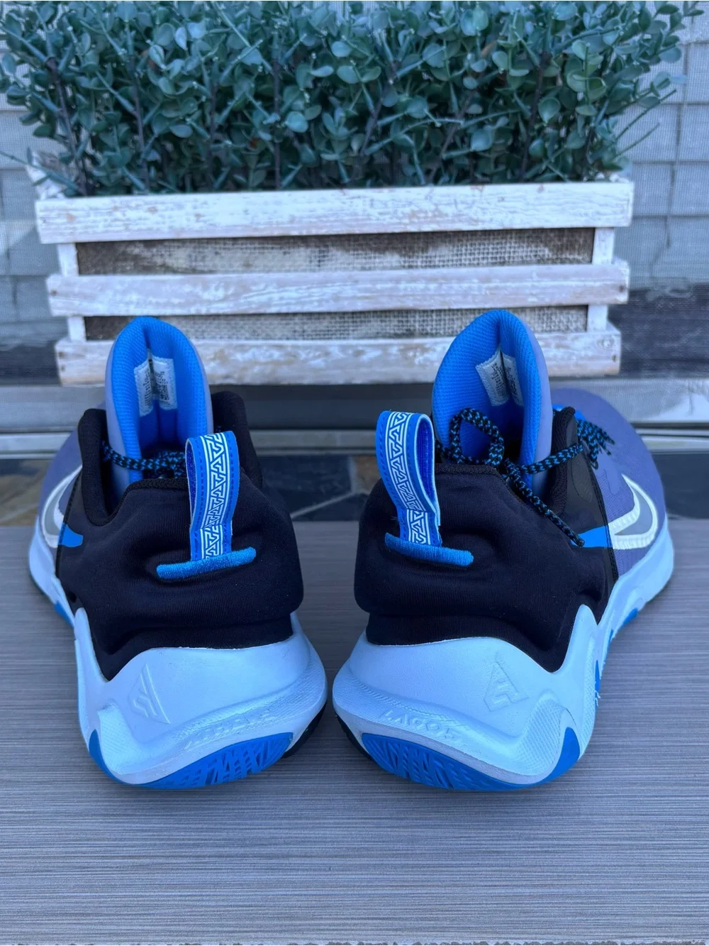 NIKE ‘Giannis Immortality’ Basketball Shoes